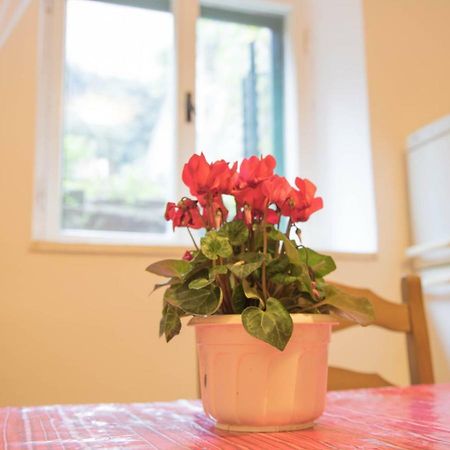 Apartman Juricic Labin  Eksteriør bilde